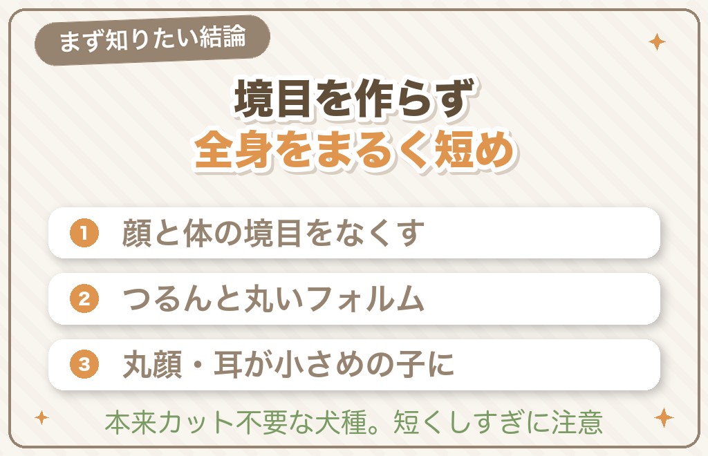 ポメラニアンのアザラシカットとは？まず知りたい結論