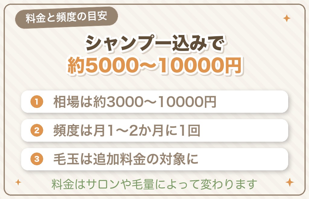ポメラニアンのアザラシカットの料金と頻度の目安