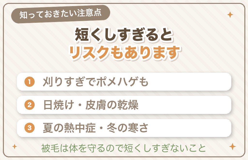 アザラシカット(短めカット)の注意点とリスク