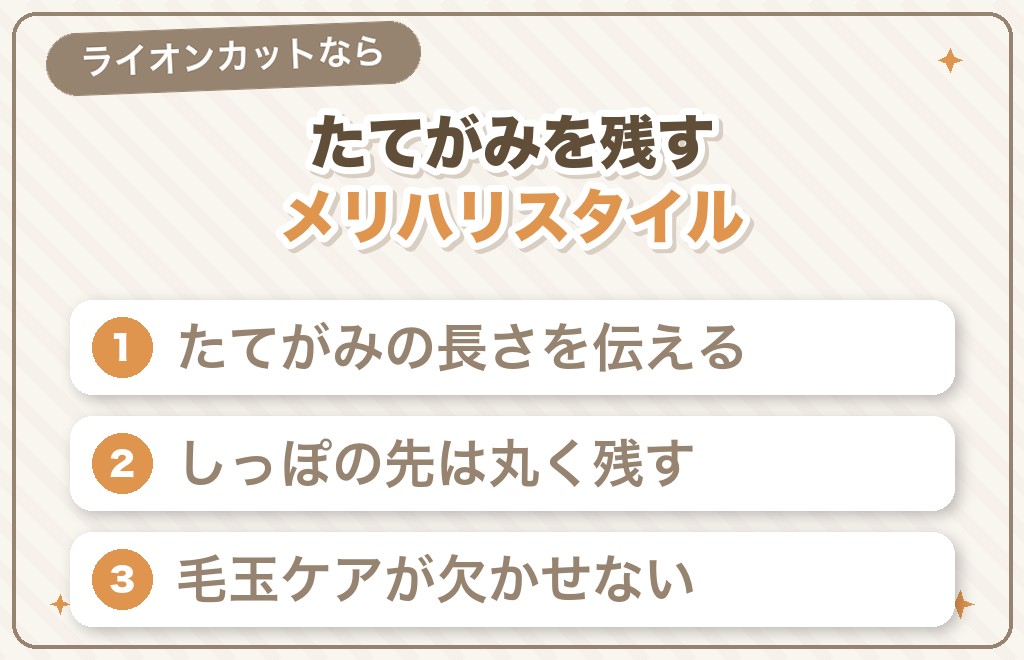 ライオンカットにしたい場合のやり方とコツ