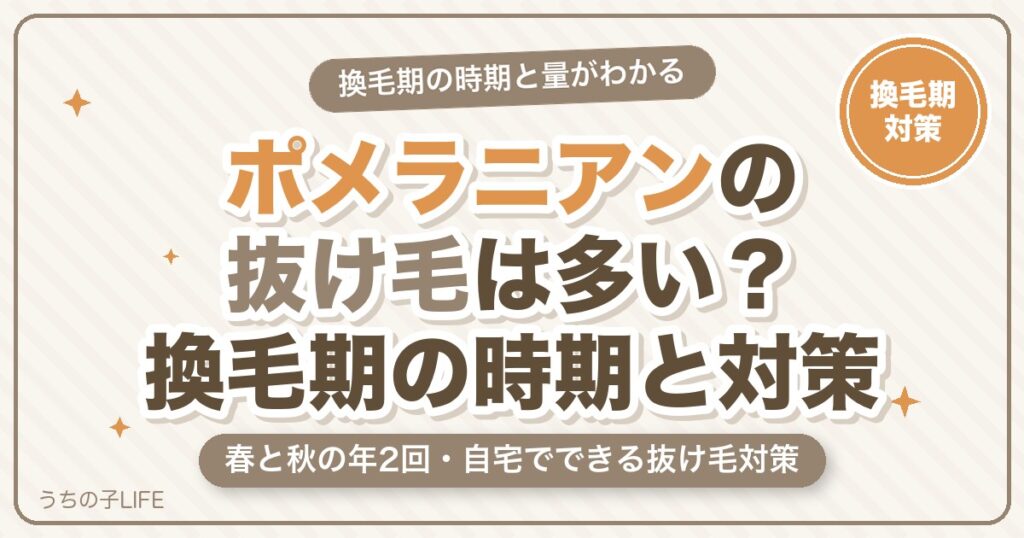 ポメラニアンの抜け毛は多い？換毛期の時期と量・自宅でできる対策
