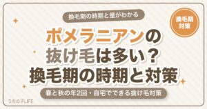 ポメラニアンの抜け毛は多い？換毛期の時期と量・自宅でできる対策