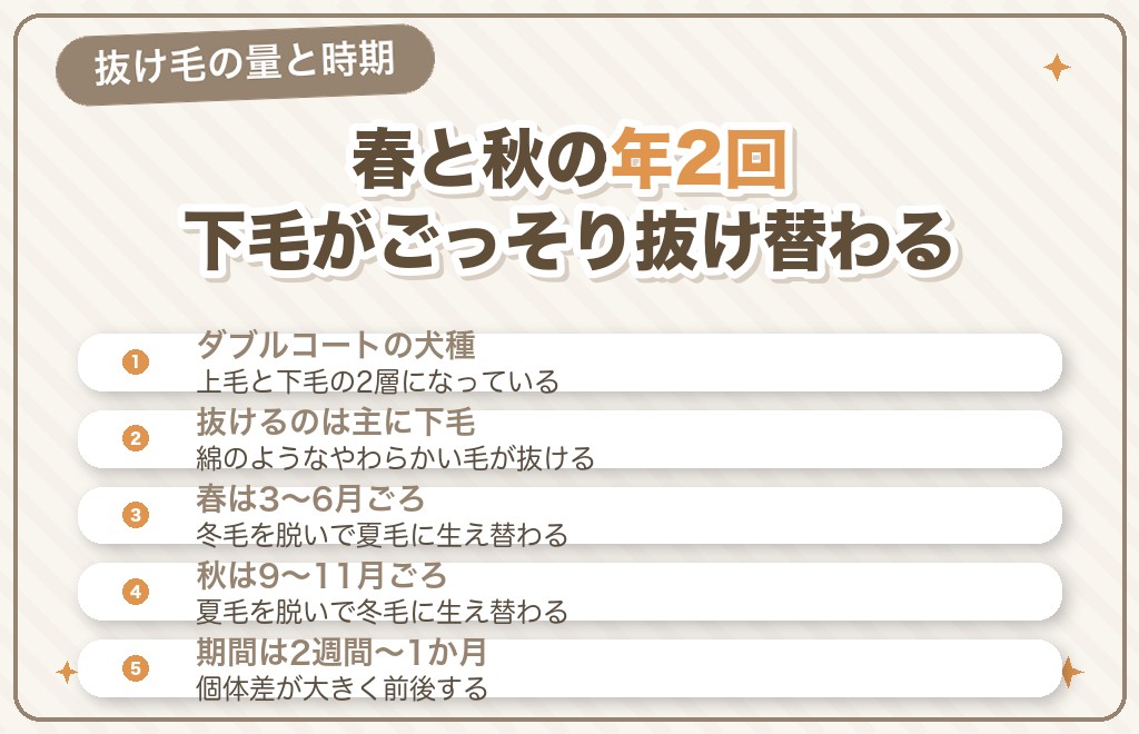 ポメラニアンの抜け毛は多い？換毛期の量と時期