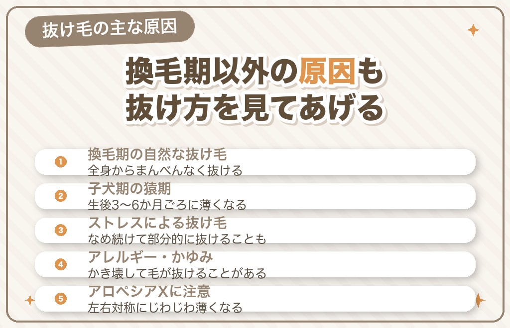ポメラニアンの毛が抜ける原因（換毛期・猿期・病気）