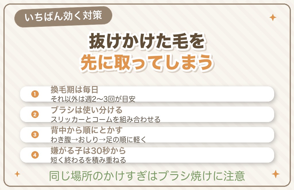 ポメラニアンの抜け毛対策①ブラッシング