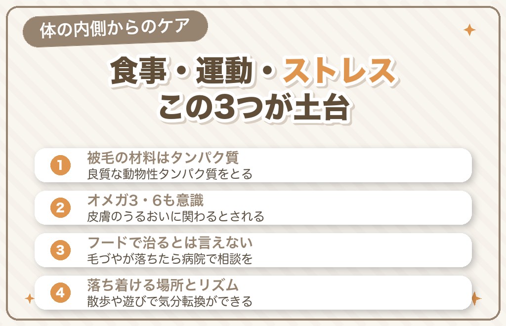 ポメラニアンの抜け毛と毛並みを支える食事・生活のケア