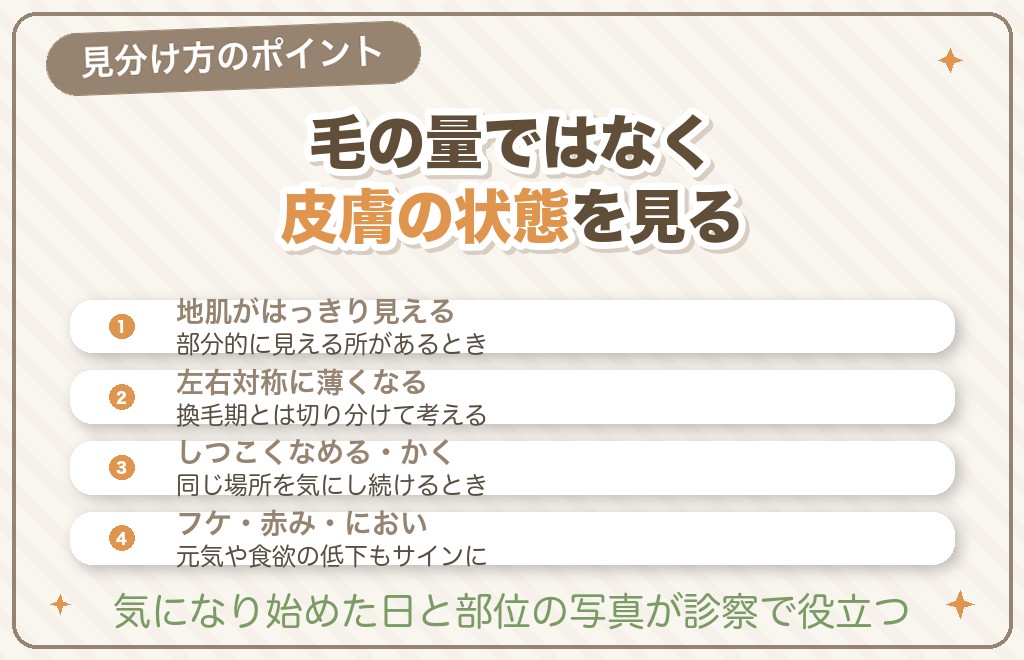 病気のサインかもしれない抜け毛の見分け方