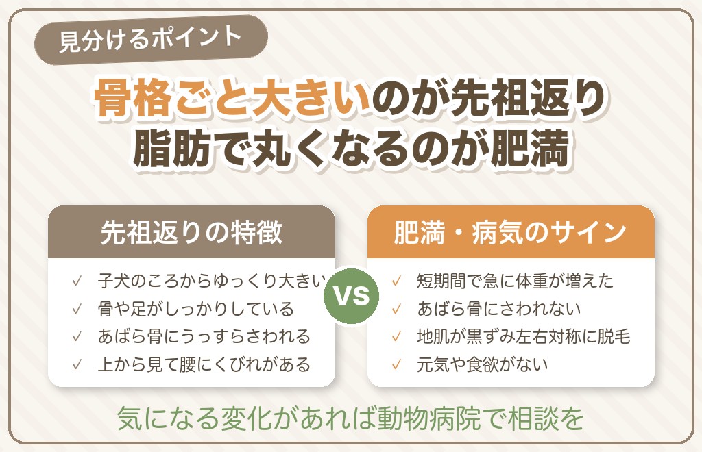先祖返り?それとも病気?大きさの見分け方