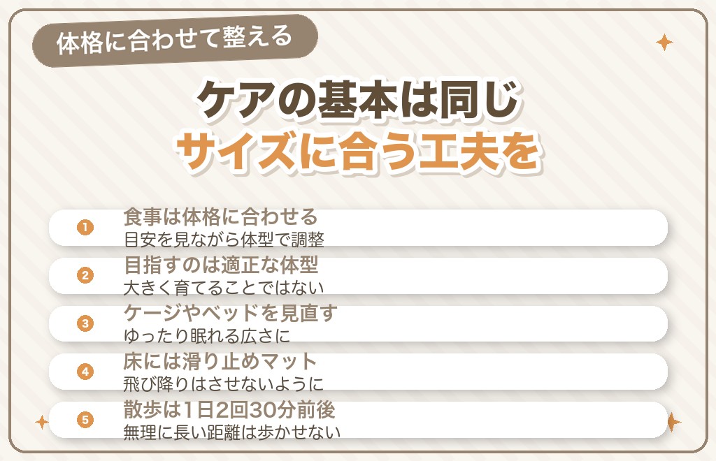 先祖返りしたポメラニアンを育てるときのポイント