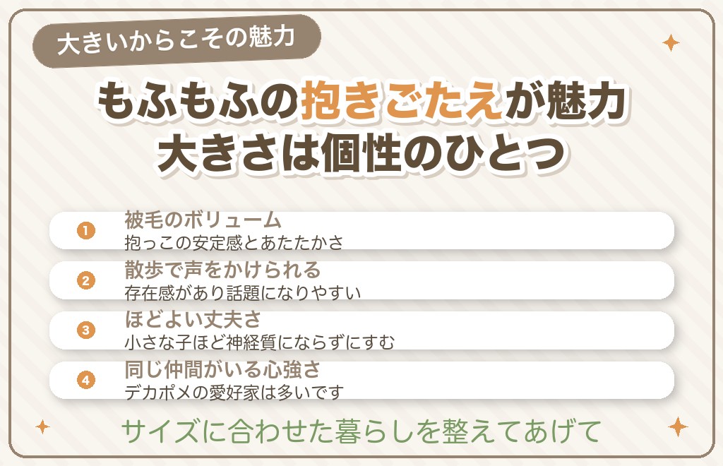 デカポメと暮らす魅力と心構え