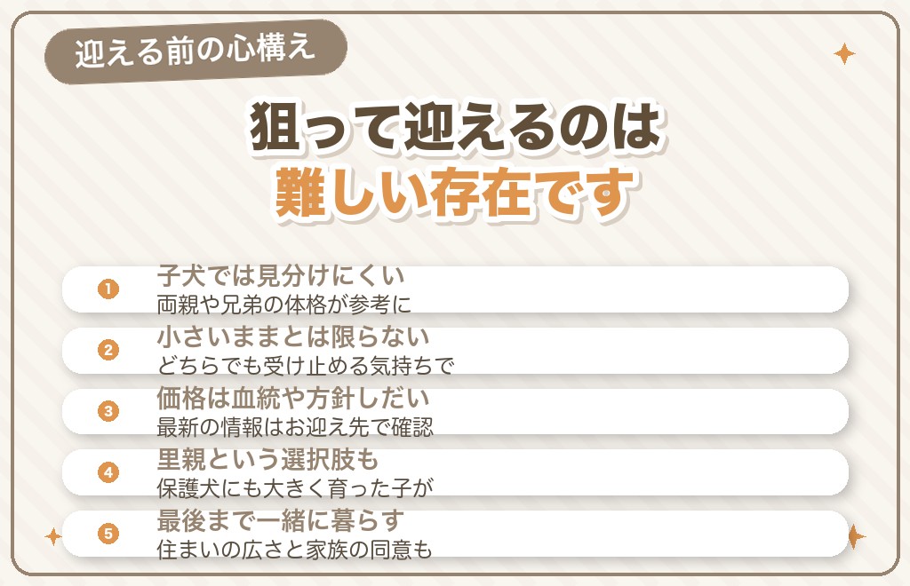 デカポメを迎える前に知っておきたいこと