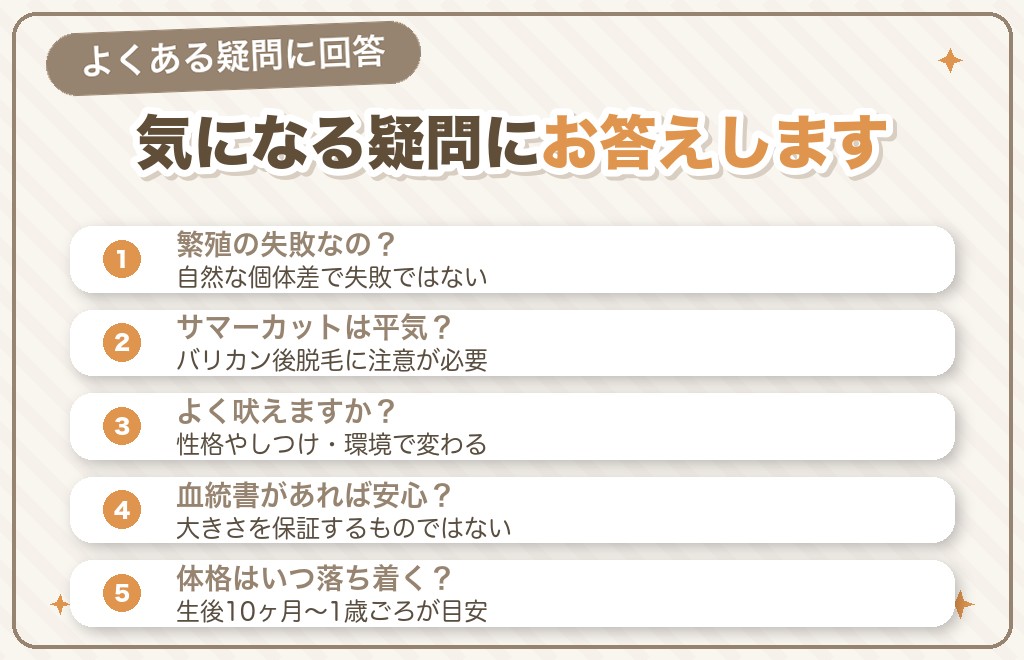 ポメラニアンの先祖返りに関するQ&A