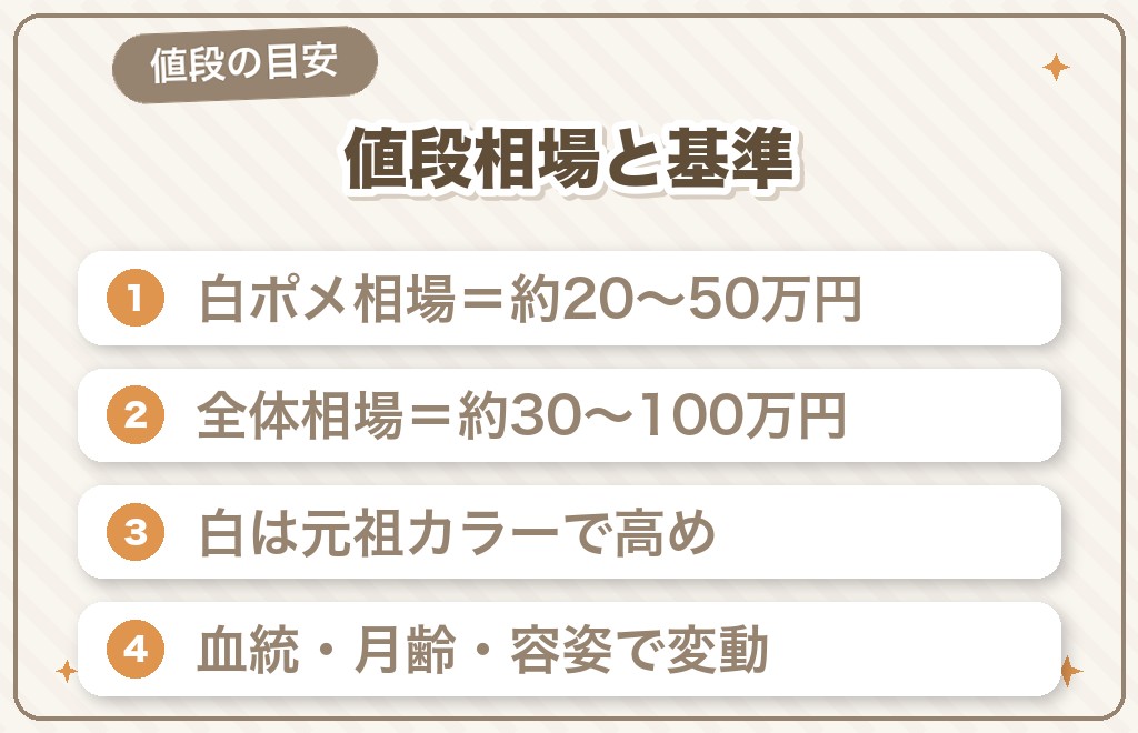 白いポメラニアンの値段相場と価格が決まる基準