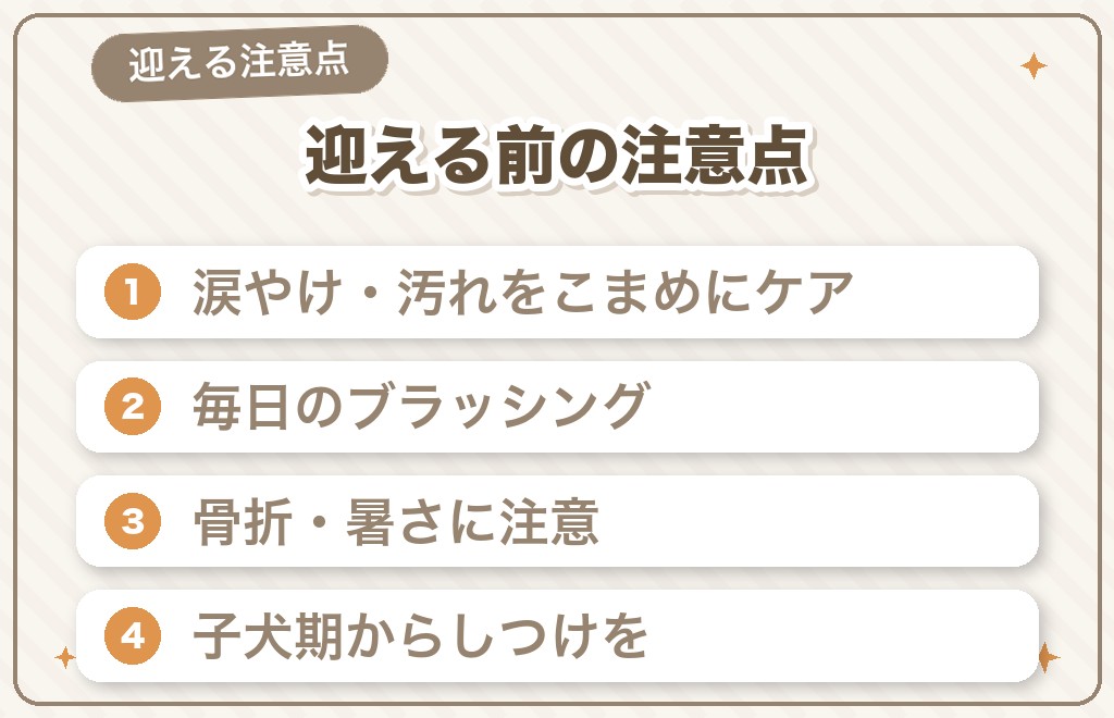 白いポメラニアンを迎えるときの注意点