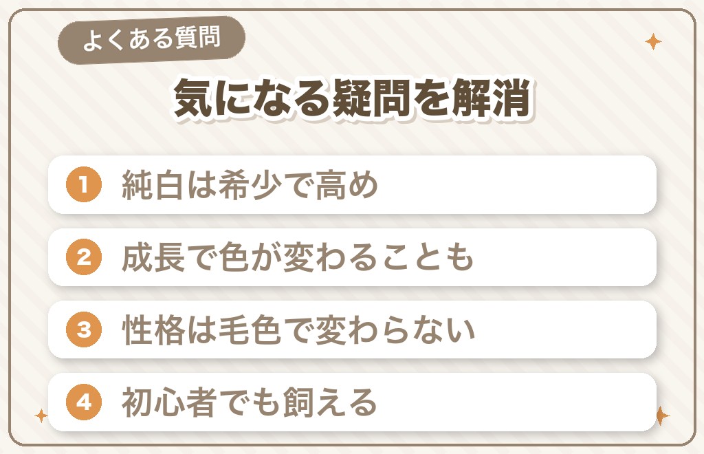 白いポメラニアンに関するよくある質問（Q&A）
