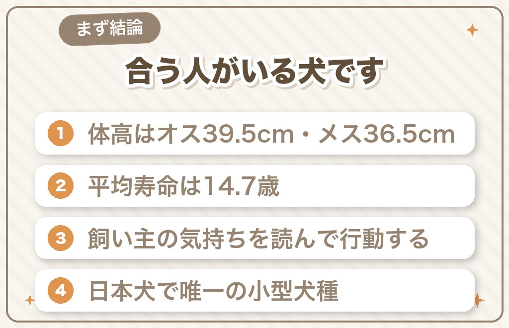 柴犬を飼ってはいけないって本当？結論からお伝えします