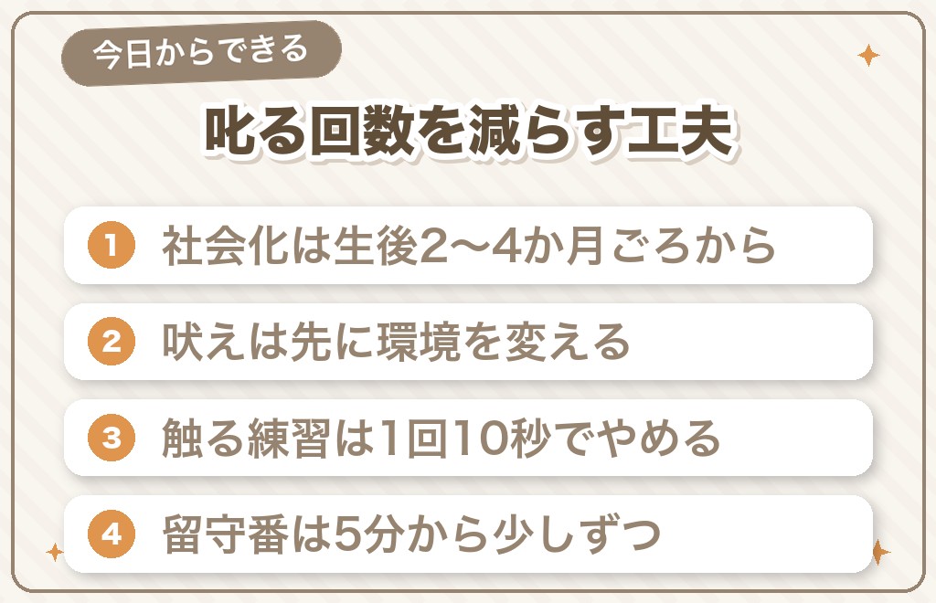 柴犬を迎えてから後悔しないためのしつけと社会化