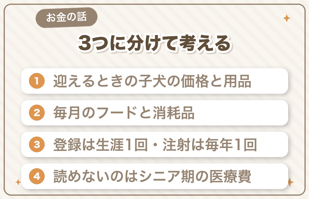 柴犬を飼うのにかかるお金と暮らしの準備