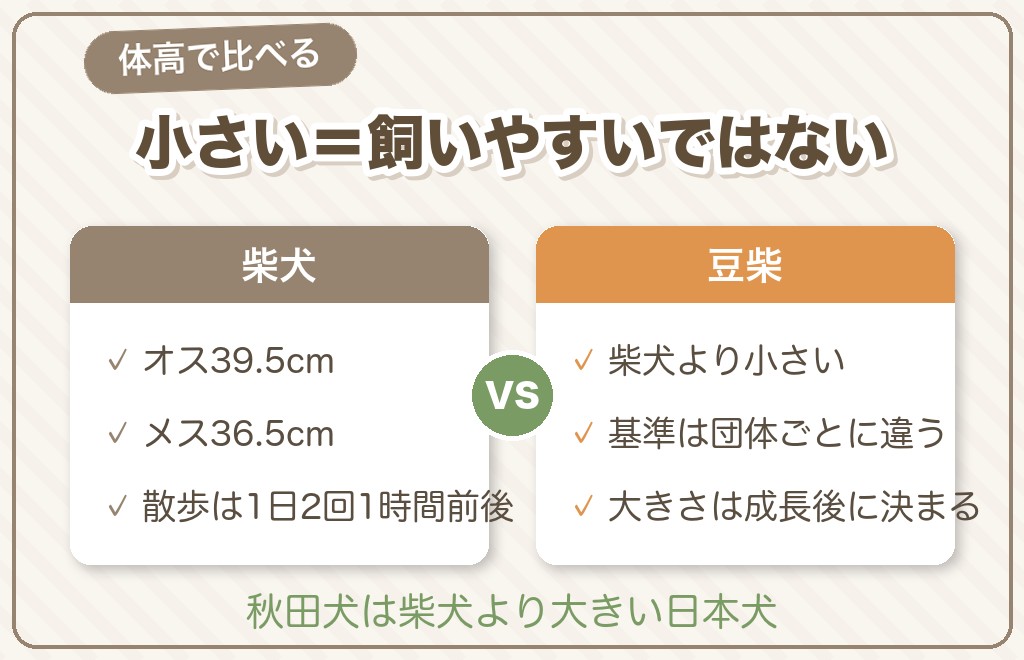 柴犬と豆柴・秋田犬はどう違う？迷ったときの選び方