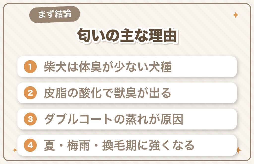 柴犬の匂い（体臭）はなぜ気になる？まず結論
