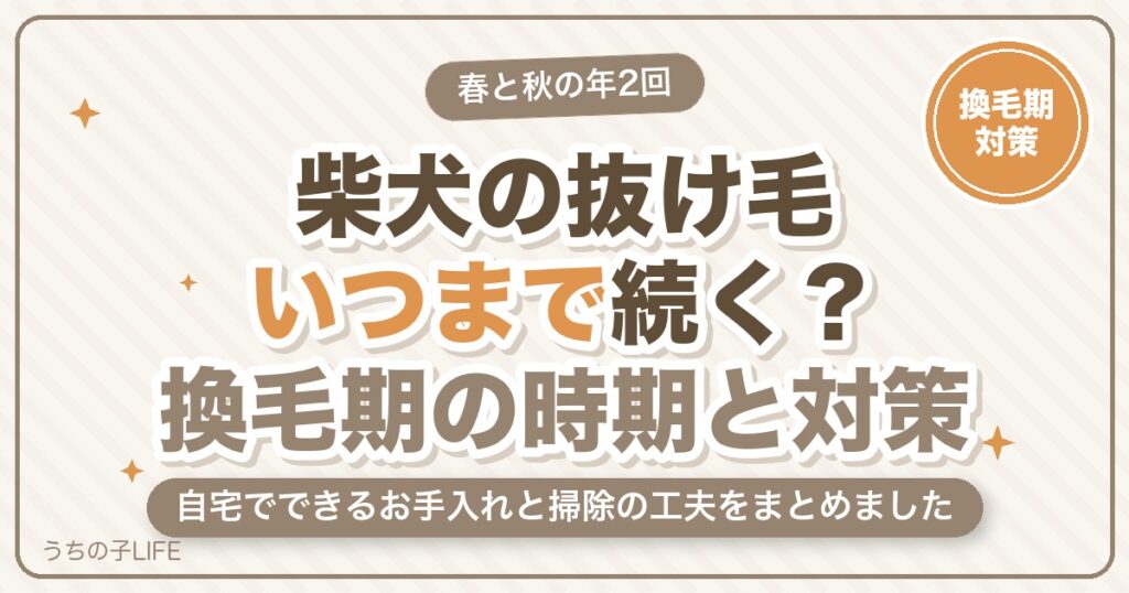 柴犬の抜け毛はいつまで？換毛期の時期と量・自宅でできる対策