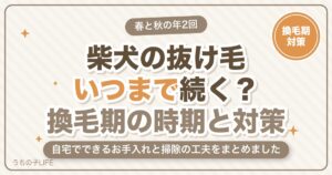 柴犬の抜け毛はいつまで？換毛期の時期と量・自宅でできる対策