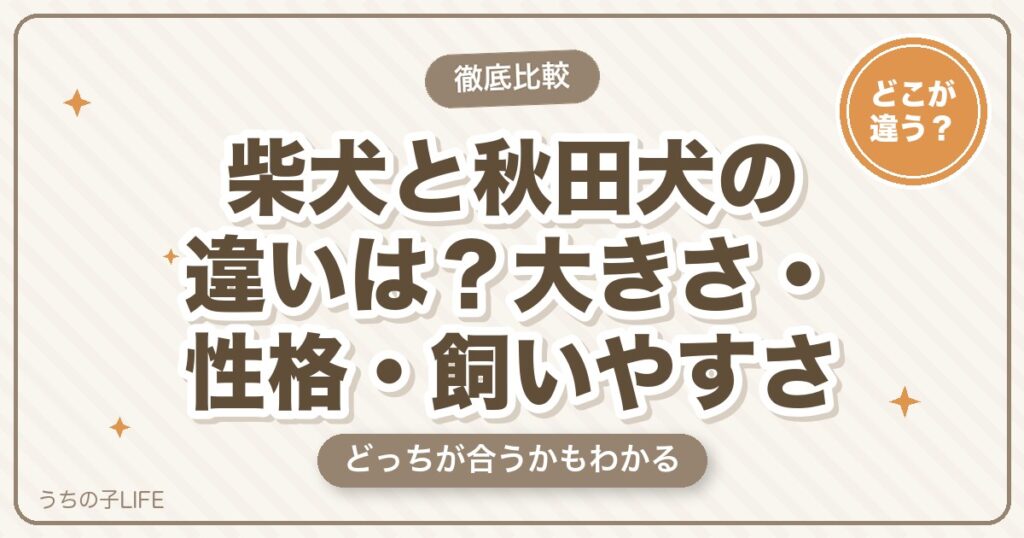 柴犬と秋田犬の違いは？大きさ・性格・飼いやすさとどっちが合うか