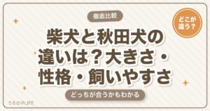 柴犬と秋田犬の違いは？大きさ・性格・飼いやすさとどっちが合うか