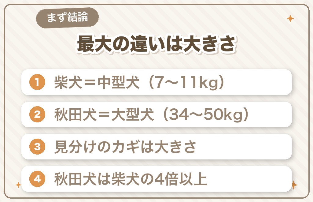 柴犬と秋田犬の違いは?まず知りたい結論