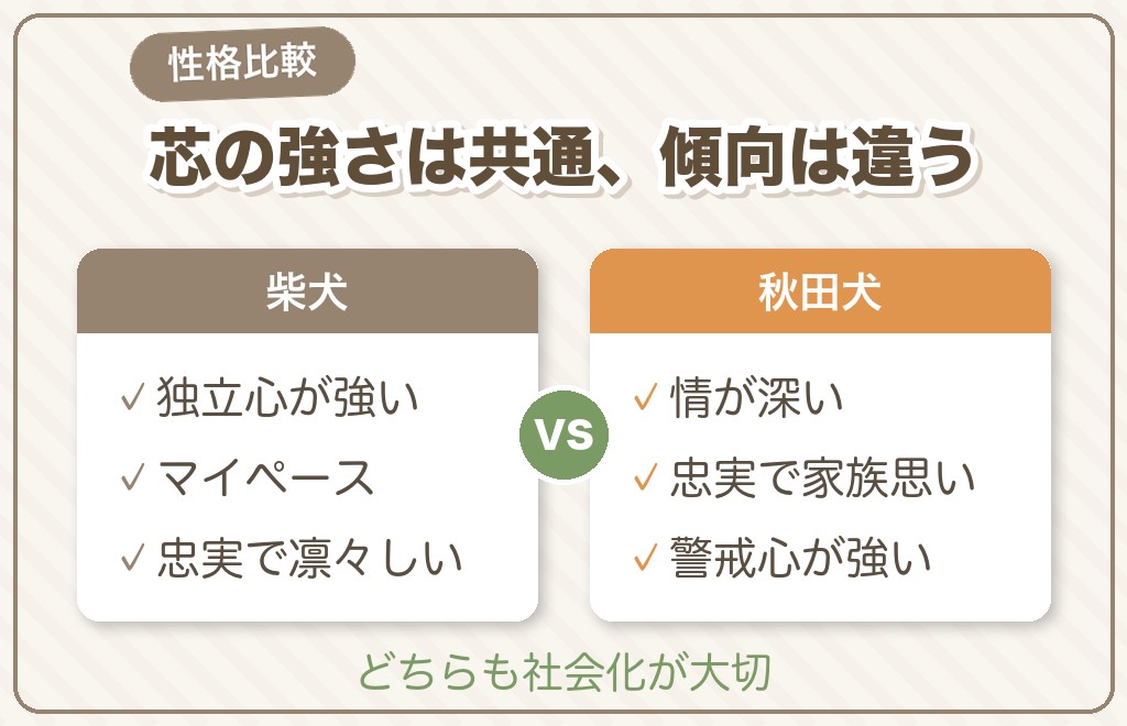 柴犬と秋田犬の性格の違い