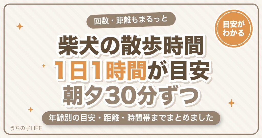 柴犬の散歩時間は1日どれくらい？回数・距離と年齢別の目安