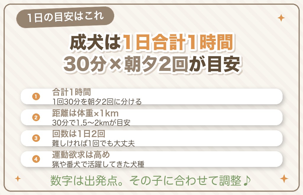 柴犬の散歩時間はどれくらい?1日の目安