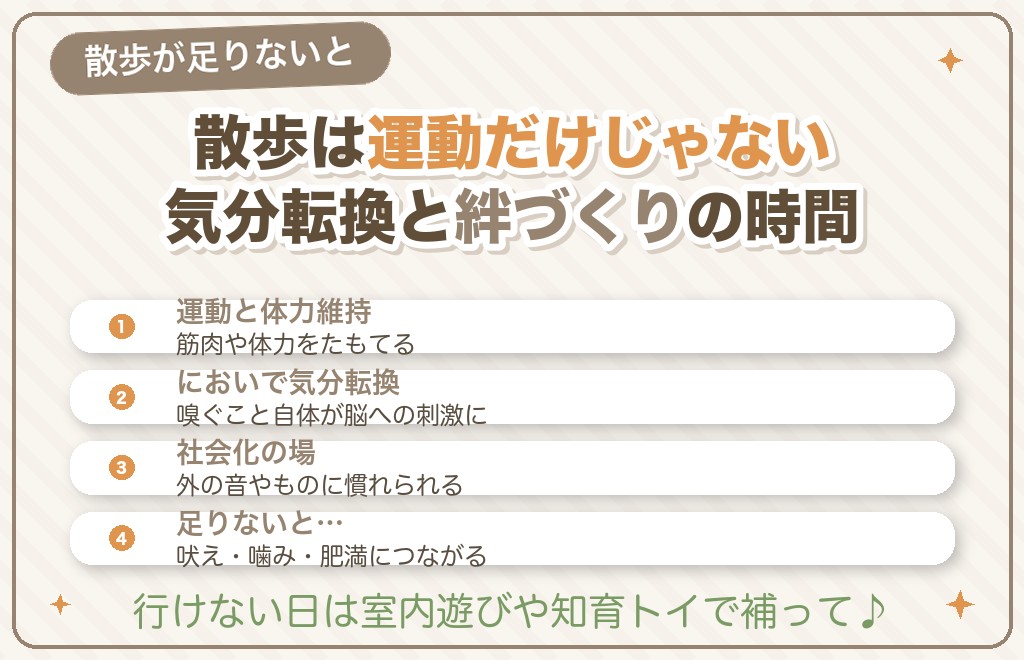 柴犬に散歩が必要な理由と行かないとどうなる