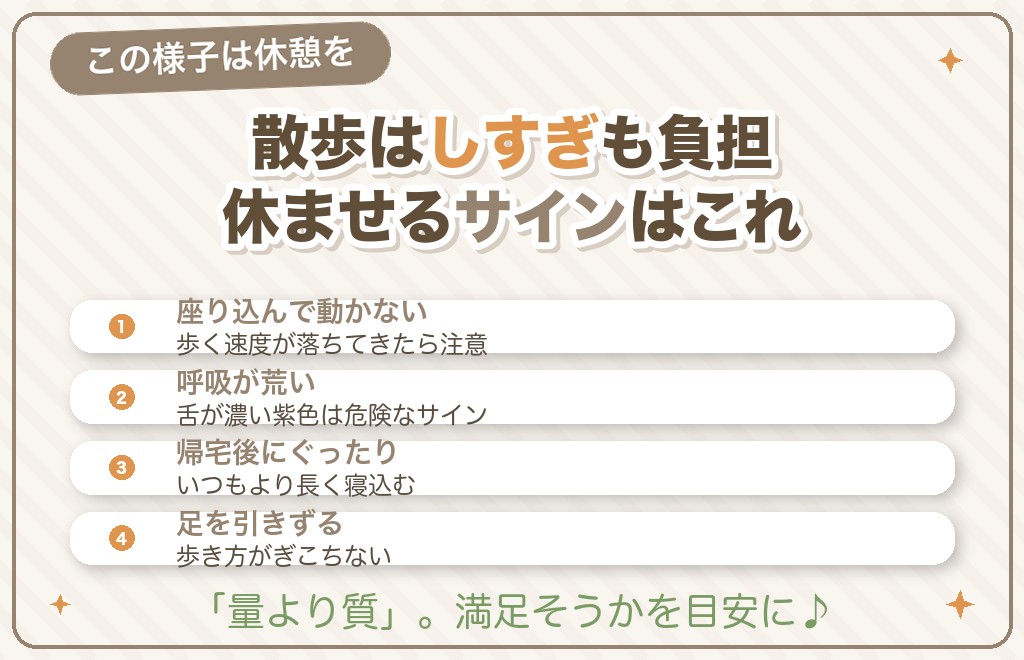 柴犬の散歩しすぎのサインと見極め方