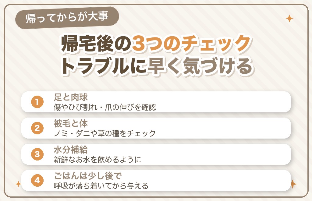 柴犬の散歩後にやっておきたいケア