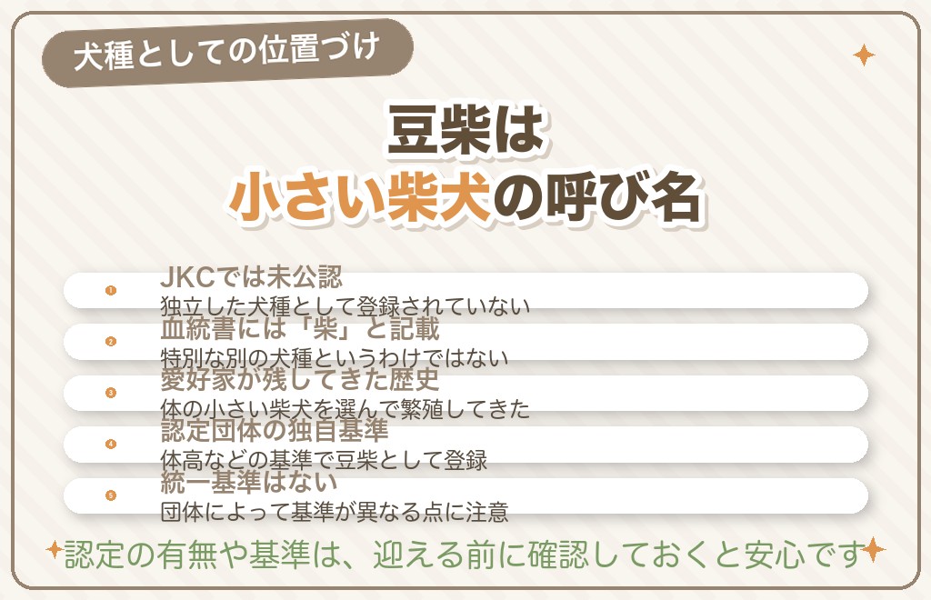 豆柴とは？柴犬との関係