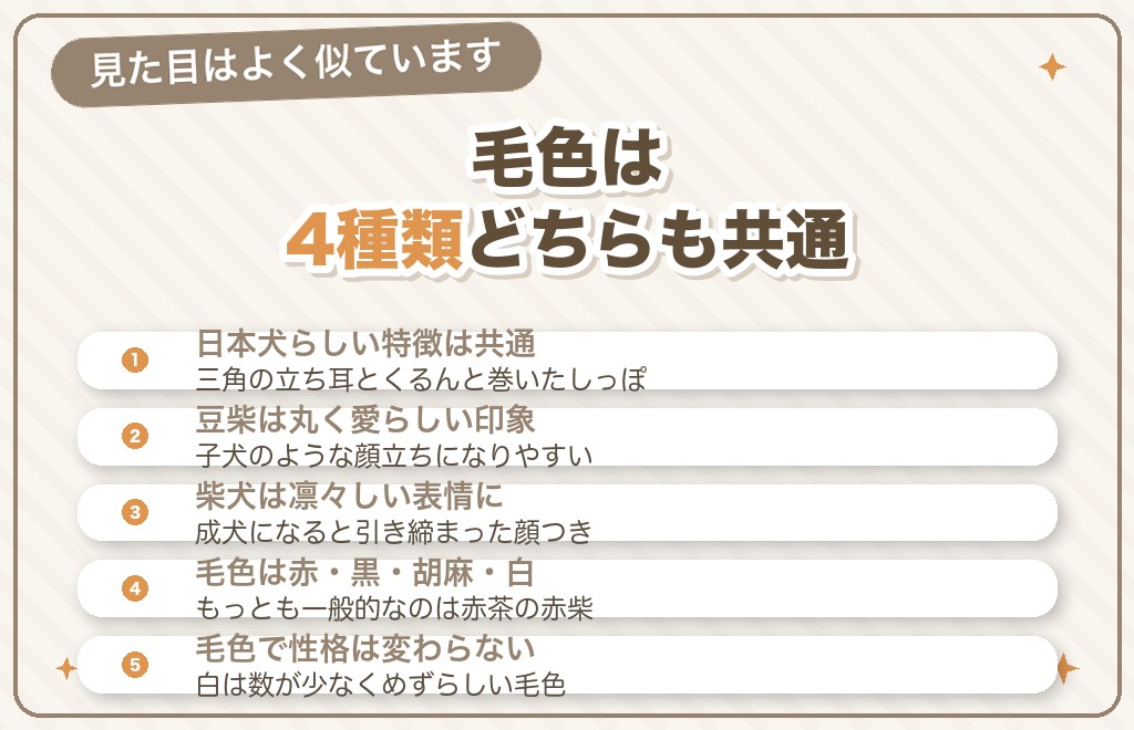 見た目・毛色の違い