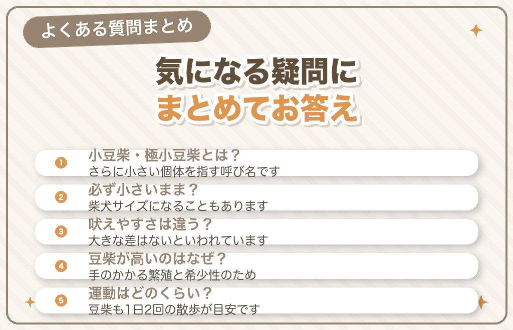 柴犬と豆柴の違いに関するQ&A