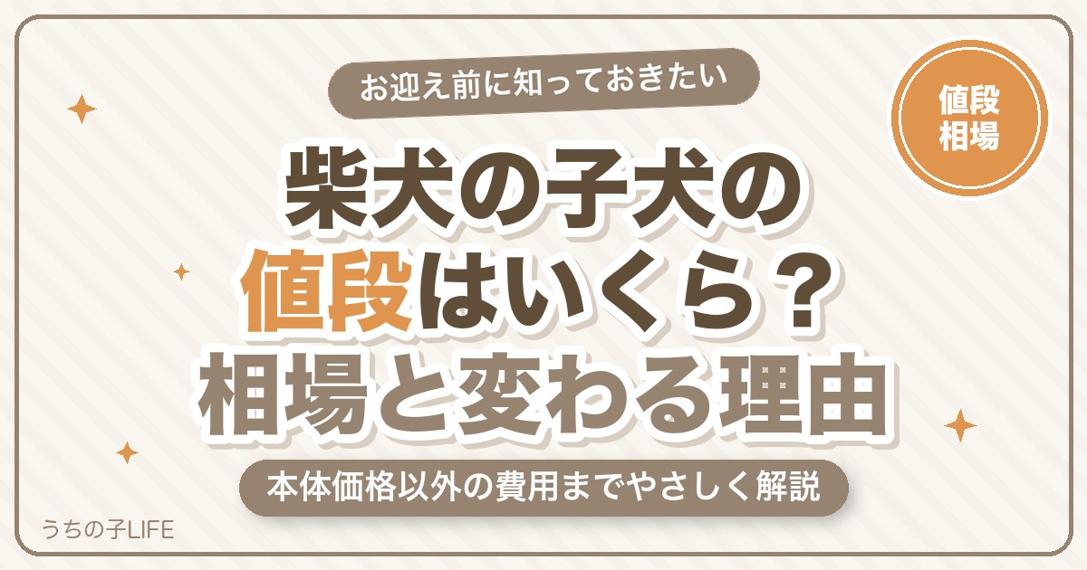 柴犬の子犬の値段はいくら？相場と価格が変わる理由・費用を解説