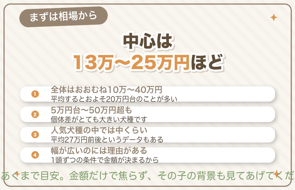 柴犬の子犬の値段の相場はいくら？