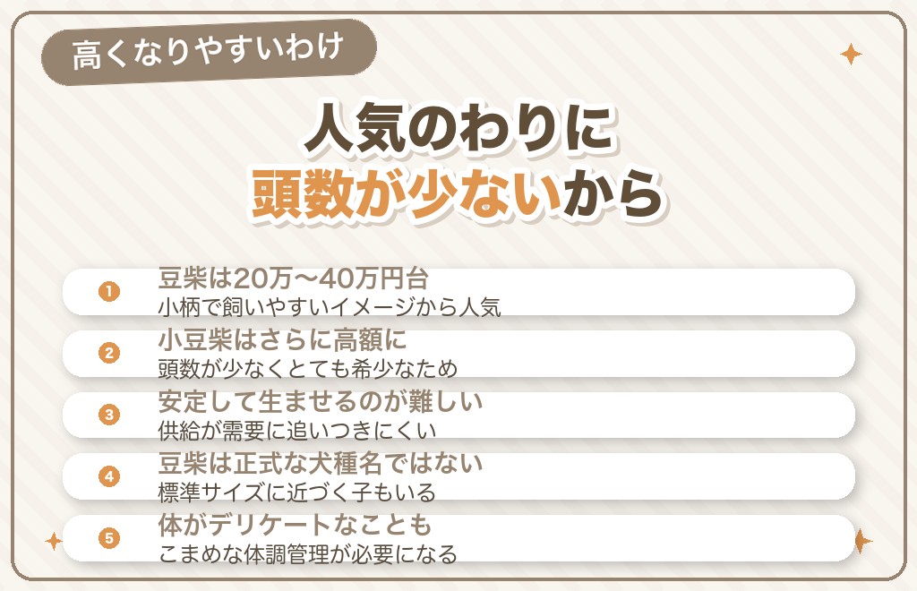 豆柴・小豆柴の値段が高いのはなぜ？