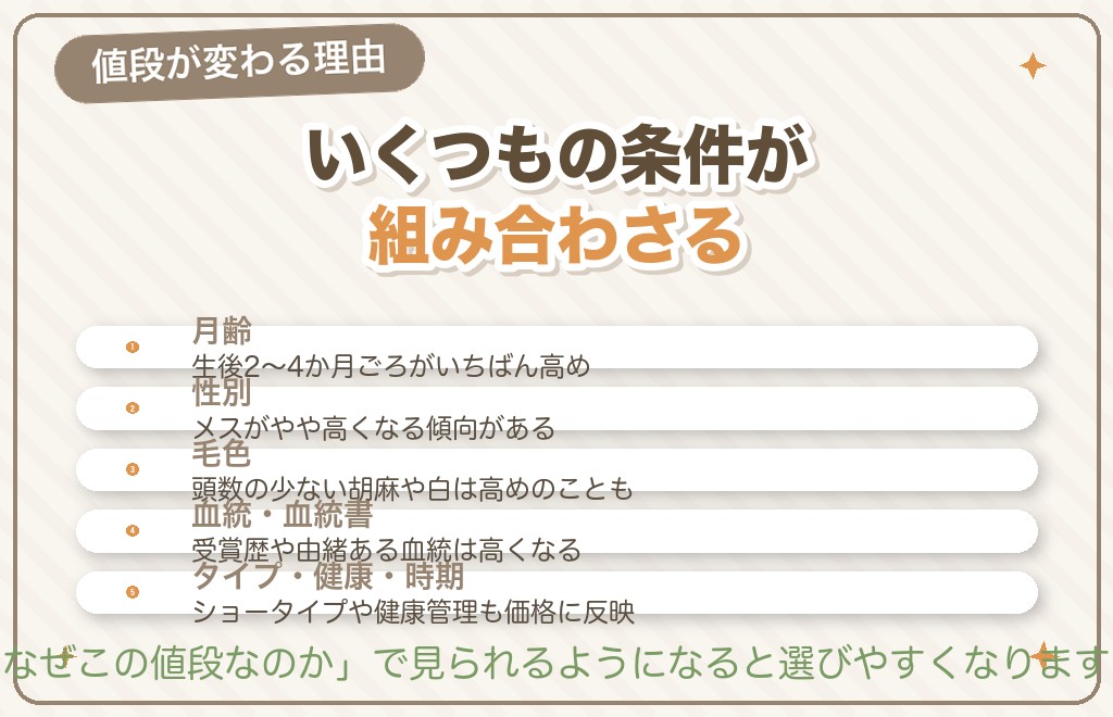 柴犬の子犬の値段が変わる7つの理由