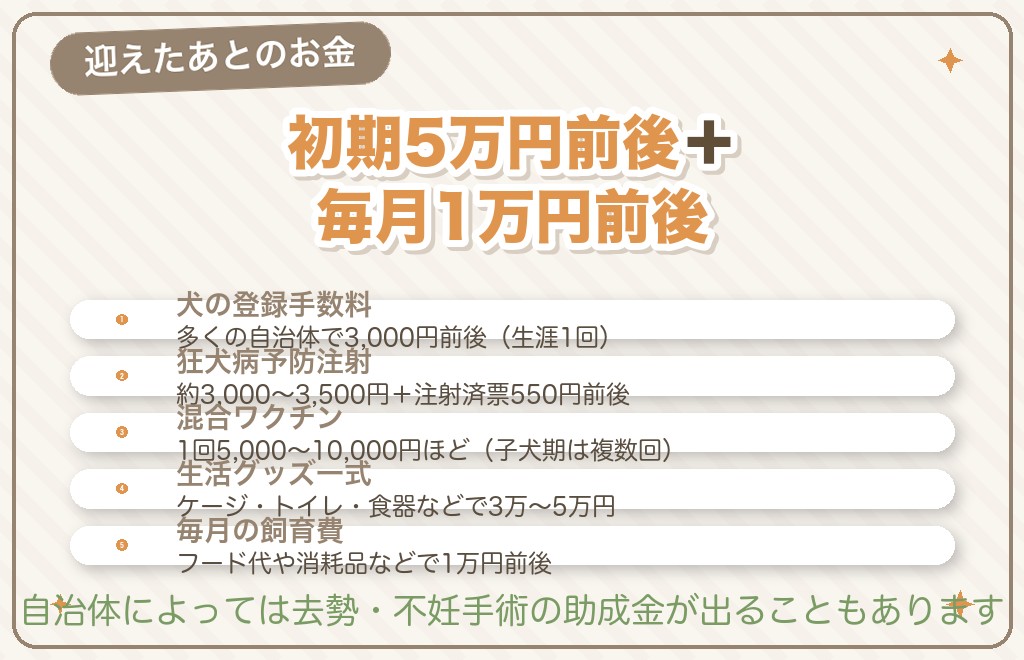 本体価格以外にかかる柴犬の費用の目安