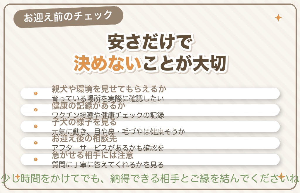 柴犬の子犬をお迎えする前に確認したいこと