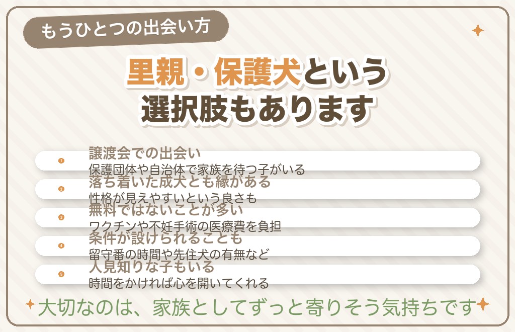 値段以外の迎え方も知っておこう（里親・保護犬）