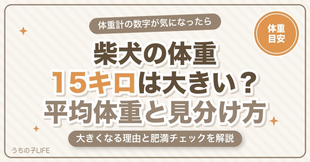 柴犬の体重15キロは大きい？平均体重と大きくなる理由・見分け方