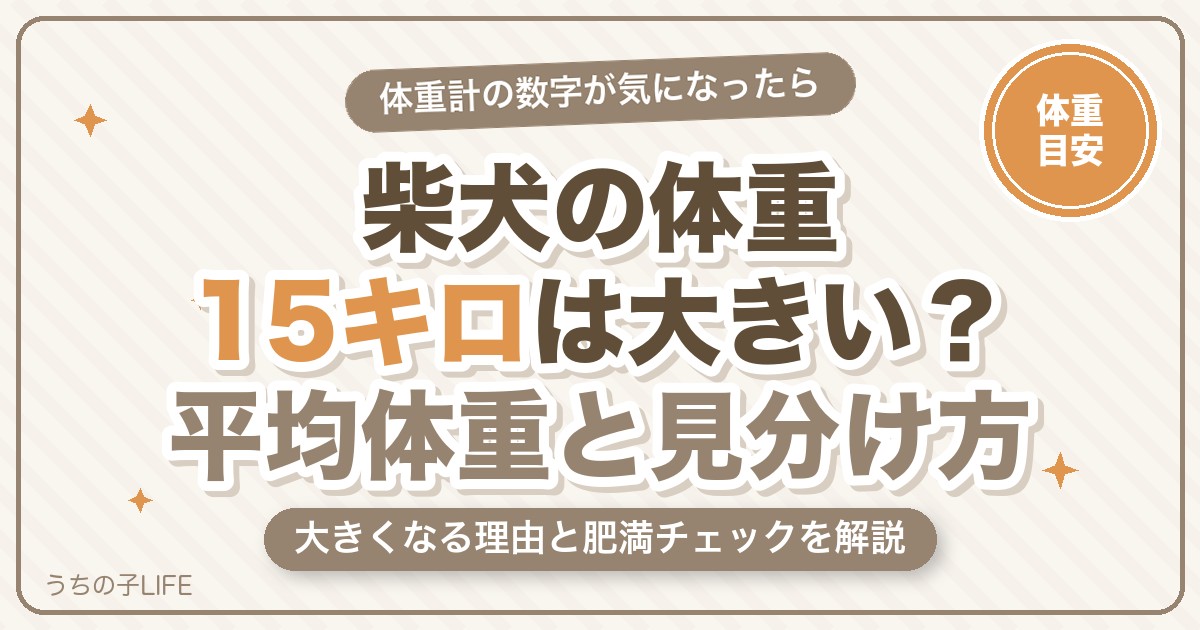 柴犬の体重15キロは大きい？平均体重と大きくなる理由・見分け方