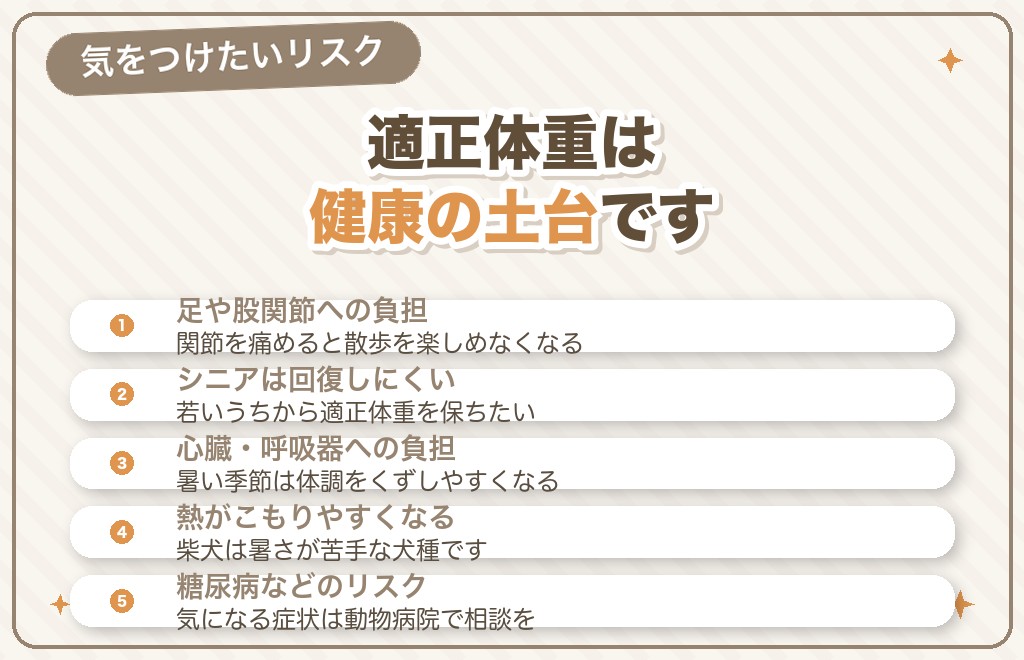 柴犬が太りすぎるとどうなる？健康リスク