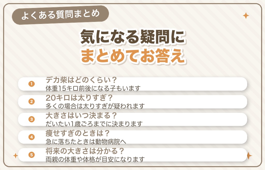 柴犬の体重に関するQ&A