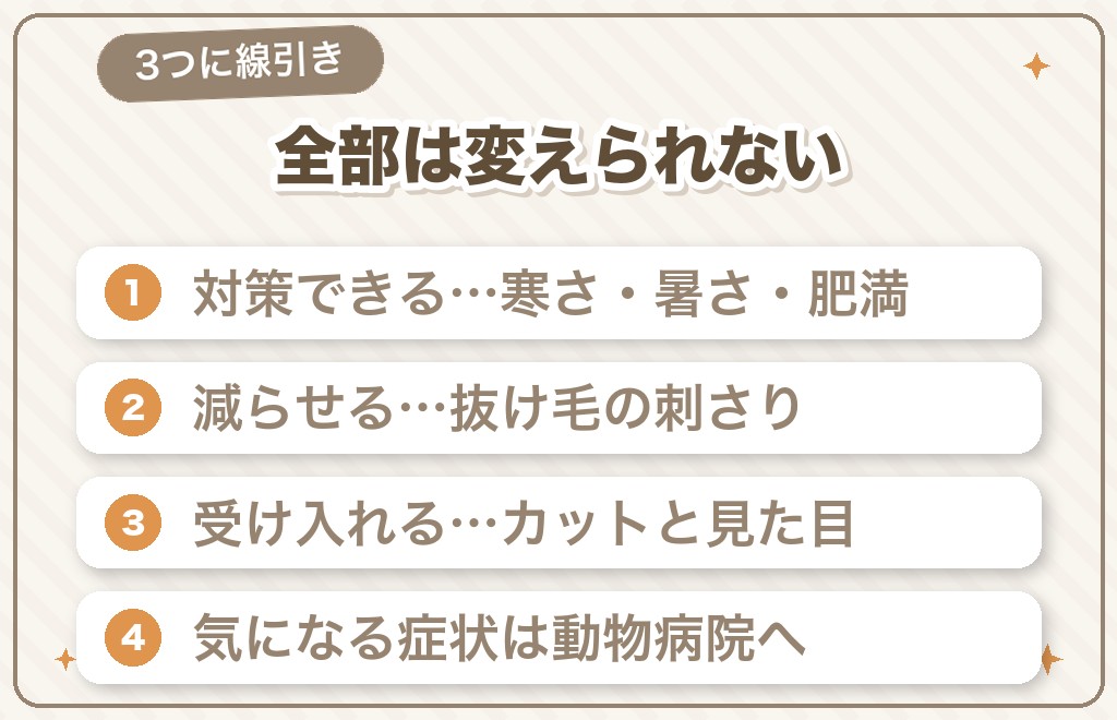 スムースチワワの気になる点は対策できる?できない?
